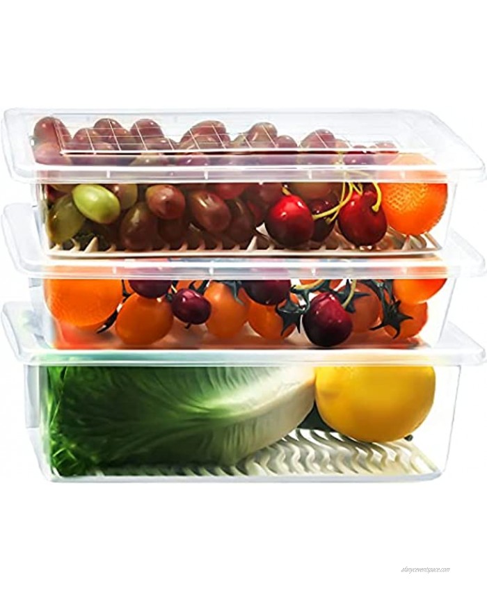 3 Pieces Fruit Produce Containers for Fridge Plastic Fridge Produce Saver Storage Vegetable Food Containers with Removable Drain Plate for Fridge Fruit Vegetables 2 Sizes