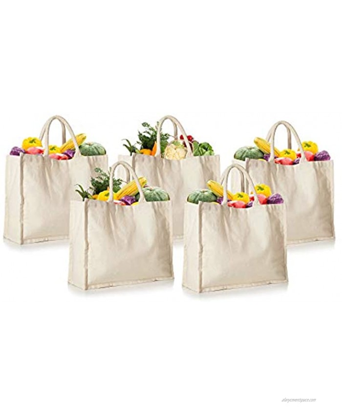 5 Pack Reusable Shopping Bags Heavy Duty Grocery Bag for Groceries Foldable Washable Canvas Fabric Tote Bags with Soft Web Handles Cloth Grocery Totes Bags Bulk for Kitchen 16.5 x 13 x 7 Inches